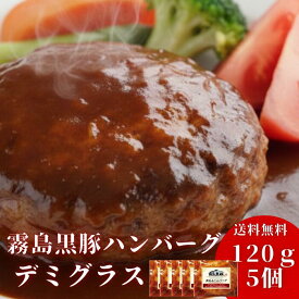 【＋2個特典付】お歳暮 肉 ギフト 霧島黒豚 ハンバーグ 120g×5個＋2個 国産 冷凍 自家製 デミグラス 国産豚 宮崎県産 湯せん 温めるだけ 簡単調理 時短 ソース お取り寄せグルメ 120g×5パック ボイル 煮込みハンバーグ 御歳暮 送料無料 湯煎 御歳暮 誕生日