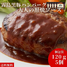 肉 ギフト ハンバーグ 冷凍 霧島黒豚 （120g×5個）大人の照焼ソース お歳暮ギフト 国産 宮崎県産 湯せん 温めるだけ 簡単調理 時短 ソース お取り寄せグルメ ボイル 煮込みハンバーグ クリスマス 誕生日 プレゼント 御歳暮