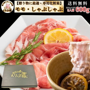蕨ɍœK Mtg ؂ wV[ԐgZbg3lO   䒆 Ε  p {uh  