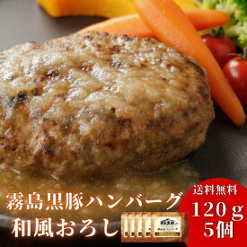 【＋2個特典付】お歳暮 国産 ハンバーグ ギフト 120g 5個＋2個 冷凍 霧島黒豚 和風おろし お歳暮ギフト 国産豚 宮崎県産 湯せん 温めるだけ 簡単調理 時短 ソース お取り寄せグルメ 120g×5パック ボイル 煮込みハンバーグ 湯煎 送料無料 誕生日 プレゼント