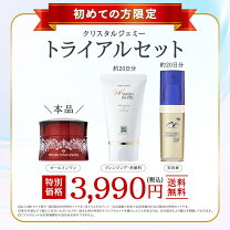 楽天市場】ジェミーチェンジの通販