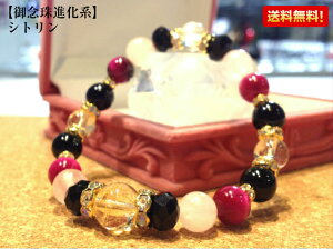 p[Xg[ uXbg VgyڕWBz y󌱂̍iFzy11a΁z킢 ANZT[ VR  NpPyOinz