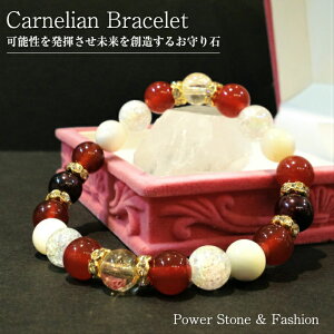 J[lA Vg K[lbg  y\𔭊n邨΁z8 11 1 a p[Xg[ uXbg ANZT[ WG[ [VR][][O]Np