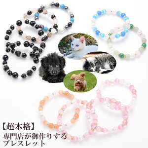 vo AObYyO@vzybg O p[Xg[uXbg 肷AM̑؂Ȏybg(Ƒ)V֑AĎvoɎcB