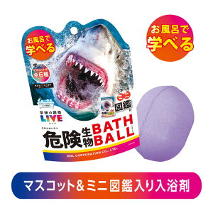 yz w̐}ӃCu 댯oX{[2 XvbVO[v\[_̍ 1 | A^Cv̓   }XRbg tBMA LN^[ q LbY C 