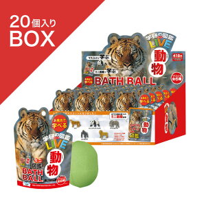 yz w̐}ӃCu oX{[ [20BOX] |   }XRbg A }  q LbY C tBMA v`Mtg Mtg v[g