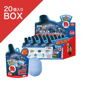 y|Cg3{z w̐}ӃCu oX{[ [20BOX] |   }XRbg A }  q LbY C tBMA v`Mtg Mtg v[g