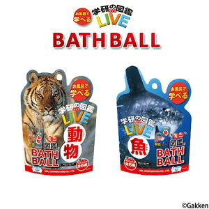 yz w̐}ӃCu oX{[   e1 A   tBMA LN^[ q LbY C ӂ ܂Ƃߔ v`Mtg v[g