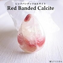 楽天市場】レッドカルサイトの通販