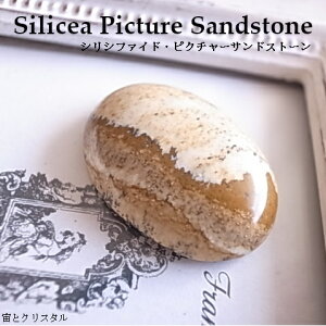 ̍ VVtFChEsN`[ThXg[ AtJY [X VR  J{V  WG[ p[Xg[ _