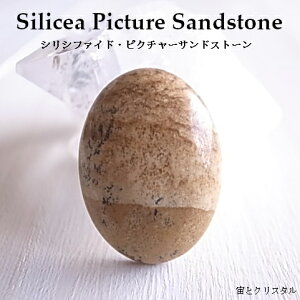 ���̕� �V���V�t�F�C�h�E�s�N�`���[�T���h�X�g�[�� ��A�t���J�Y ���[�X �V�R�� ���� �J�{�V���� ��� �W���G���[ �p���[�X�g�[�� ��_��