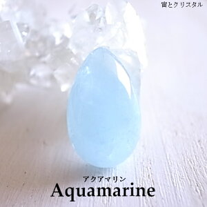 F̋P ANA} uWY [X VR  J{V  WG[ p[Xg[ _