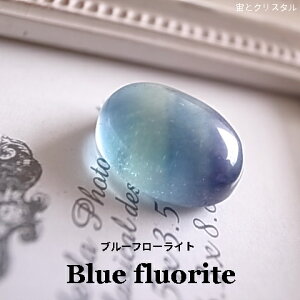 AEgbg ̍ u[t[Cg Y [X  VR  J{V  WG[ p[Xg[