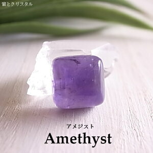 AWXg EOACY XNGA [X VR  J{V  WG[ p[Xg[ _