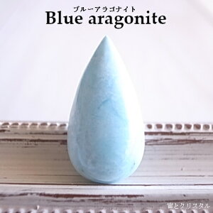 u[ASiCg E_ȎY [X VR  J{V  WG[ p[Xg[ _ [ 