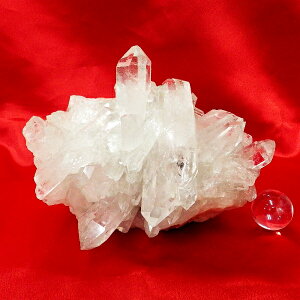 yX^_[hNXz΃NX^[ TCYid1918g 11cm 15.3cm s15.3cm uWYjyȂzSVR ʐ^i̔