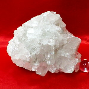 yX^_[hNXz΃NX^[ TCYid1728g 12cm 18cm s11cm uWYjyȂzSVR ʐ^i̔