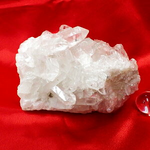 yX^_[hNXz΃NX^[ TCYid1335g 11cm 14.3cm s8.6cm uWYjyȂzSVR ʐ^i̔