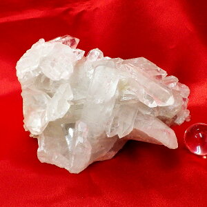 yX^_[hNXz΃NX^[ TCYid1247g 8.2cm 14.5cm s10.5cm uWYjyȂzSVR ʐ^i̔