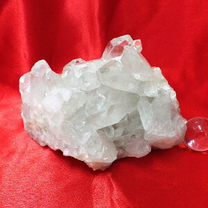 yX^_[hNXz΃NX^[ ^TCYid959g 8.2cm 13.2cm s11.5cm uWYjyȂzSVR ʐ^i̔