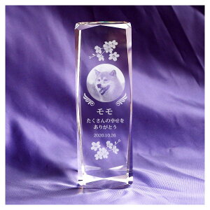 ybg NX^ ʔv lp150mmApNX^ɗ߂܂BHAfUCA ybgʔv ybgA ybg{ rOɒu@CgXe[