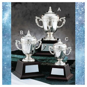 y͂2TԁzD JbvgtB[@CJNO-8500TCYA y[J[E㍞݁z