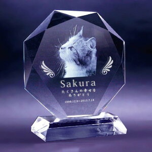 ybg NX^ʔv@_CJbg 160mmApNX^ɗ߂܂BHAfUCA@܂łF܂B ybgʔv NX^ A