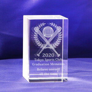 cLOi  싅 LOi bZ[W 3D{[ƃobg NX^ y[p[EFCg KXubN80mm ͂2T 㖳@@ 2ȏエグő