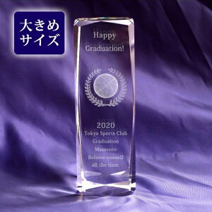 ���c�L�O�i ������ �o�X�P �L�O�i ���b�Z�[�W���� 3D�o�X�Z�b�g�{�[�� �N���X�^���y�[�p�[�E�F�C�g �K���X�g���t�B�[����150mm ���͂�2�T�� �����㍞�ݏ��i