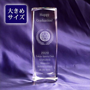 cLOi  TbJ[ LOi bZ[W 3DTbJ[{[ NX^y[p[EFCg KXgtB[150mm ͂2T ㍞ݏi