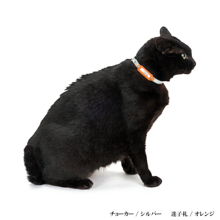 驚きの価格が実現 Dekori 猫首輪 猫の首輪 ネコ 首輪 かわいい 太陽花 ネックス鈴付き 貴族風ちょう結び猫用首輪 おしゃれチョーカー可愛い首飾り ネコ用くびわ セーフティバックル 安全安心 ベル付きペットへのギフト ワンちゃん用首輪 ペット用アクセサリー 3つ色