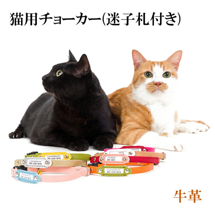 上等 猫用首輪 かわいい 首輪 犬首輪 脱走 迷子猫防止に ペット首輪 迷子札 猫 子犬用 アクセサリー 名前入り 書き手可能な情報 安全 超軽量 調節可能 Www Larrypolatsch Com