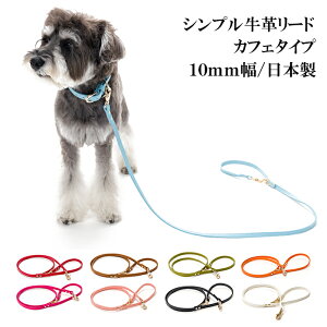  [h  v 킢  ^ ^ ̃[h   U[ VvvJtF^Cv[h[h10mm [֑yyMt_z