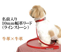 革リード名前入りリード10mm幅バージョン(ラインストーン/ネーム/イニシャル/名入れ)(猫、小型犬〜中型犬用)