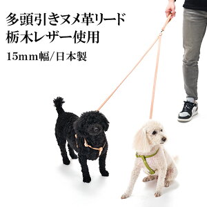  [h 2  v 킢  ^ ^ ̃[h   U[ [֑@Ȗ؃U[kv[hyyMt_z