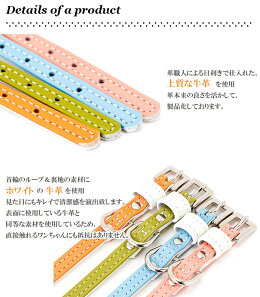 ホワイトベーシック首輪/迷子札付猫用首輪