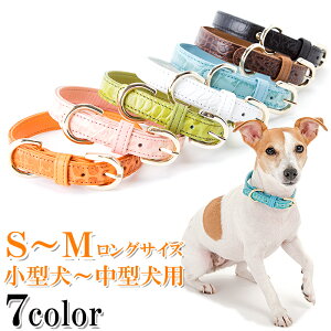    v 킢 ^ ^   ̎  т U[ qD [֑ NR_C^ yyMt_z