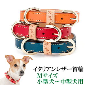    v 킢 ^ ^   ̎  т U[ qD [֑ C^AU[ yyMt_z