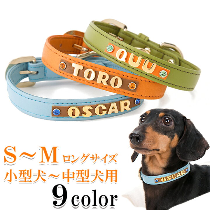 楽天市場 犬 首輪 名入れ 名前入り おしゃれ 革 かわいい 小型犬 中型犬 犬首輪 犬の首輪 いぬ くびわ イニシャル レザー 迷子札 メール便送料無料 カシメ首輪 楽ギフ 包装 楽ギフ 名入れ 犬首輪専門店 クリスタルポイント