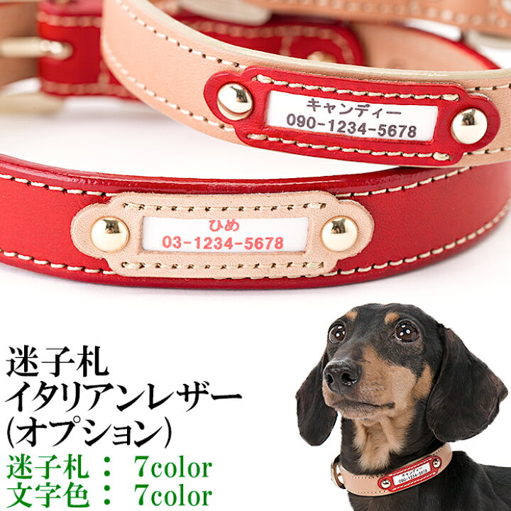 楽天市場 迷子札 犬 首輪 猫 首輪 おしゃれ 革 かわいい 小型犬 中型犬 名入れ 犬首輪 犬の首輪 猫首輪 猫の首輪 ネームタグ ドックタグ 名入れ いぬ ねこ ペット くびわ レザー メール便送料無料 Maigo イタリアンレザー迷子 楽ギフ 包装 楽ギフ 名入れ 犬首輪
