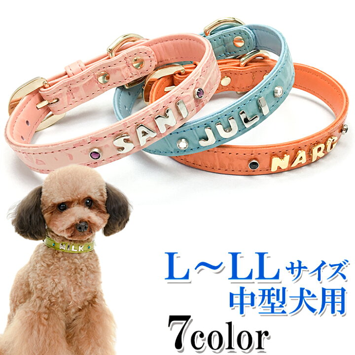 楽天市場 犬 首輪 名入れ 名前入り おしゃれ 革 かわいい 小型犬 中型犬 犬首輪 犬の首輪 いぬ くびわ イニシャル レザー 迷子札 メール便送料無料 クロコダイル型押し首輪カシメ 楽ギフ 包装 楽ギフ 名入れ 犬首輪専門店 クリスタルポイント