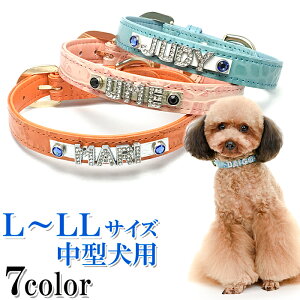    O  v 킢 ^ ^  ̎  т CjV U[ qD [֑ NR_C^փCXg[yyMt_