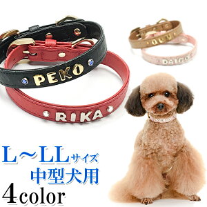    O  v 킢 ^ ^  ̎  т CjV U[ qD [֑ I[Xgb`^փJVyyMt_zy