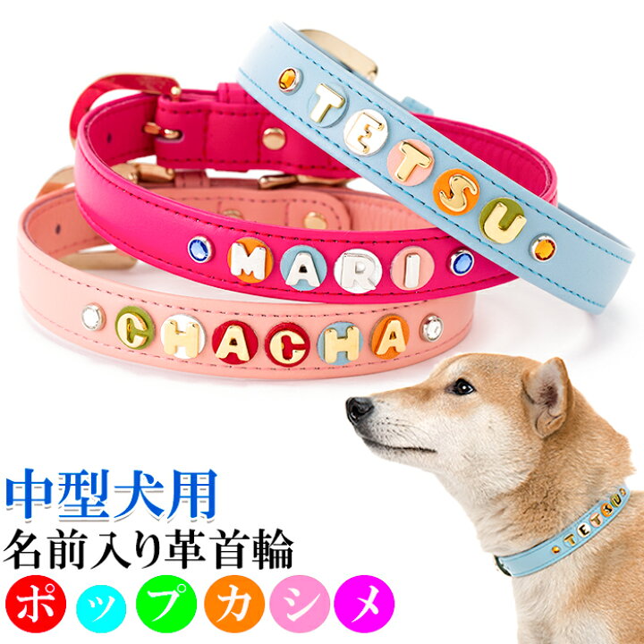 楽天市場 犬 首輪 名入れ 名前入り おしゃれ 革 かわいい 小型犬 中型犬 犬首輪 犬の首輪 いぬ くびわ イニシャル レザー 迷子札 メール便送料無料 ポップカシメ首輪 楽ギフ 包装 楽ギフ 名入れ 犬首輪専門店 クリスタルポイント