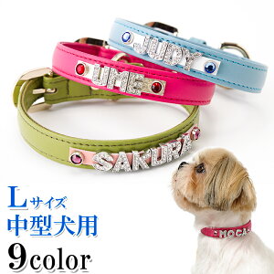    O  v 킢 ^ ^  ̎  т CjV U[ qD [֑ CXg[ yyMt_zyyMt_