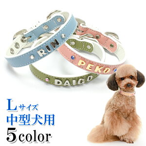    O  v 킢 ^ ^  ̎  т CjV U[ qD [֑ zCgx[VbNփJVyyMt_zyy