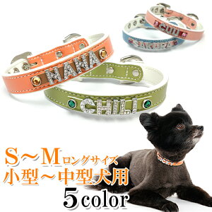    O  v 킢 ^ ^  ̎  т CjV U[ qD [֑ zCgx[VbNփCXg[yyMt_