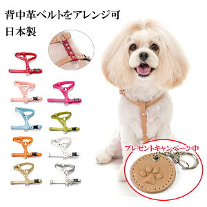 n[lX  ^ S ^ 킢 Ȃ qD v U[    [֑ H^vn[lX yyMt_zyyMt_z