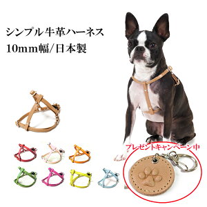 n[lX  ^ S ^ 킢 Ȃ qD v U[   L ˂  [֑ Vvv10mmn[lX STCYyyMt_zyyMt_z