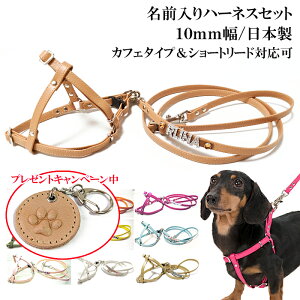n[lX  ^ S ^ 킢 Ȃ qD v U[   L ˂  [֑ Vvv10mmOn[lXZbg [ht STCYyyMt_